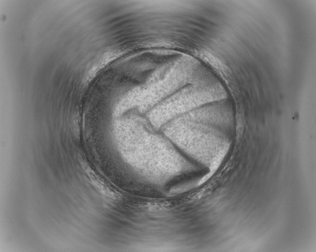 X0000088600345200706151807