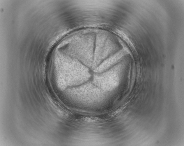 X0000088600346200706151807