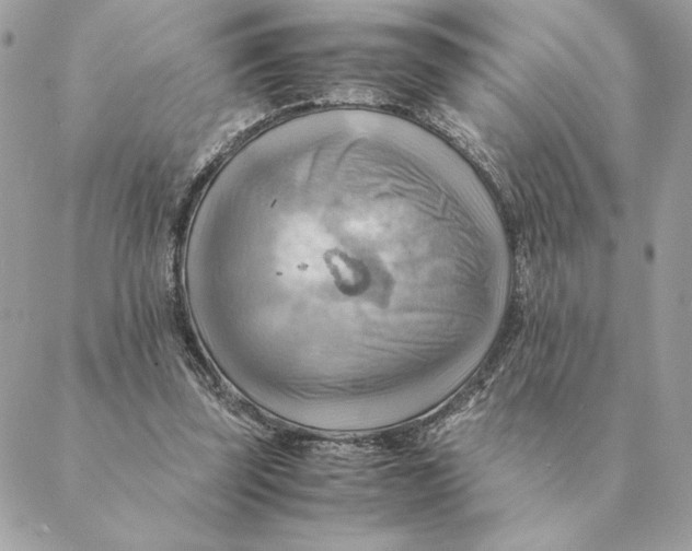 X0000088600347200706151807