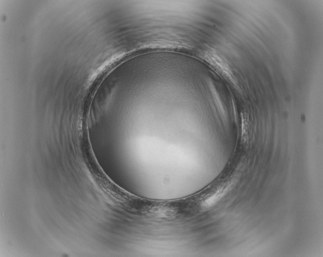 X0000088600348200706151807