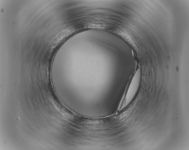 X0000088600349200706151807