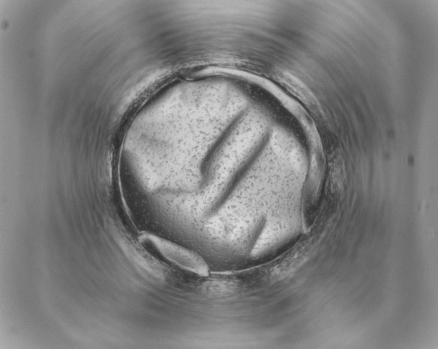 X0000088600350200706151807