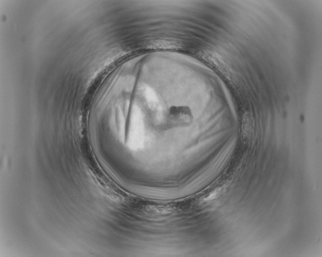 X0000088600351200706151807