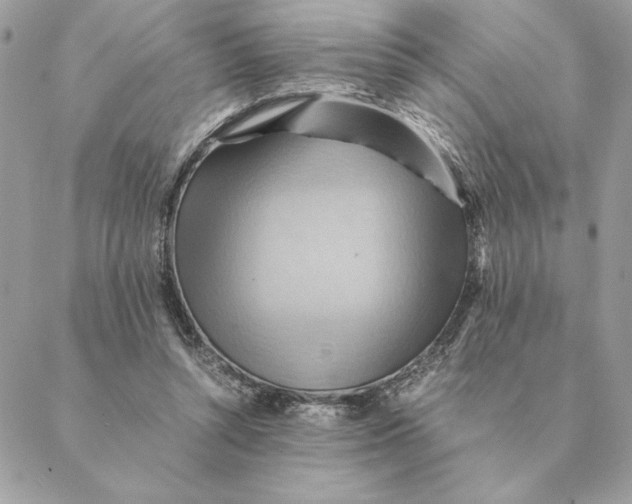 X0000088600352200706151807