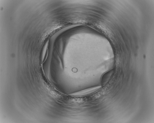 X0000088600353200706151807