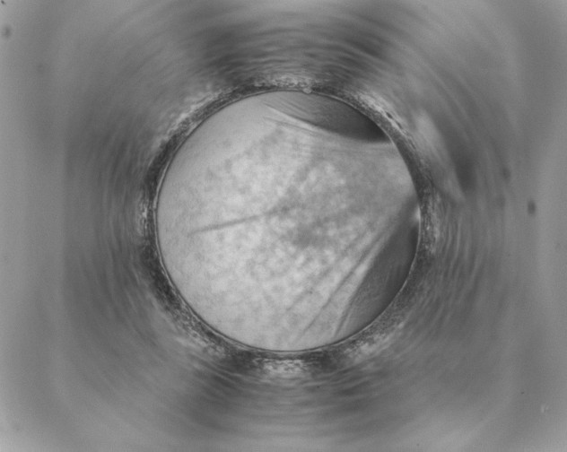 X0000088600355200706151807