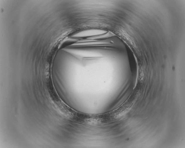 X0000088600356200706151807