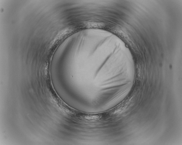 X0000088600357200706151807