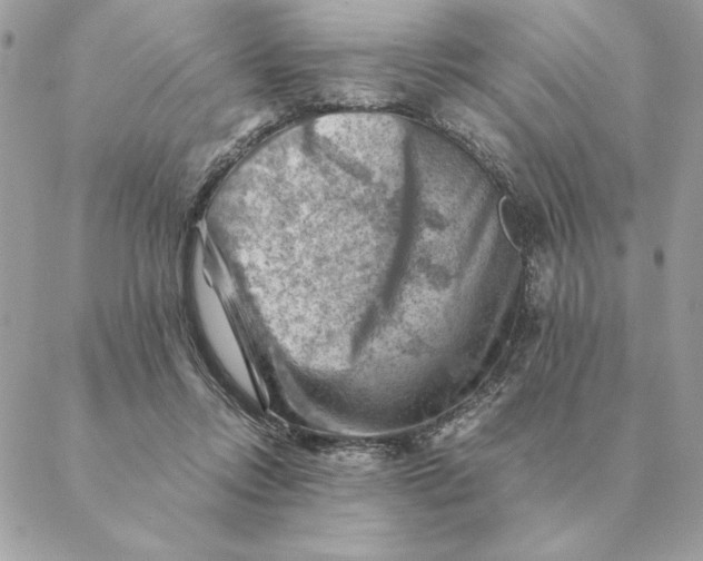 X0000088600358200706151807