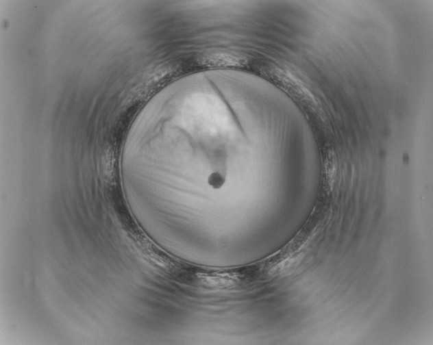 X0000088600359200706151807