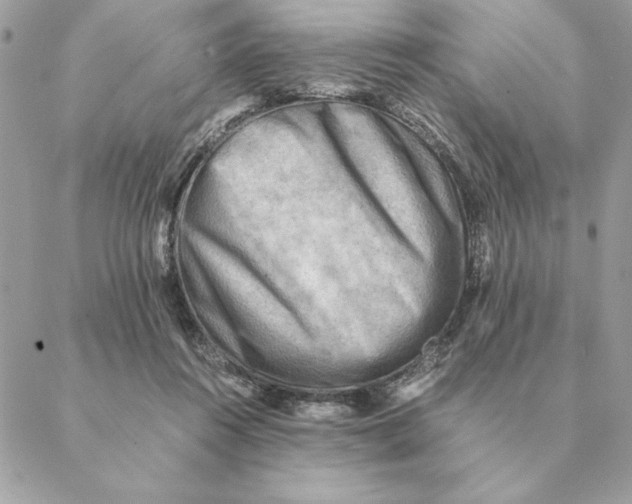 X0000088600360200706151807