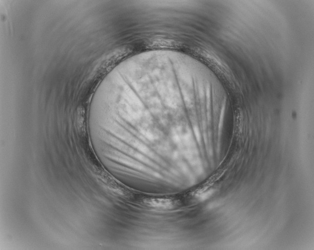 X0000088600361200706151807