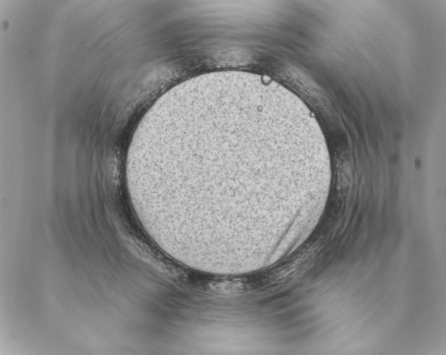 X0000088600362200706151807