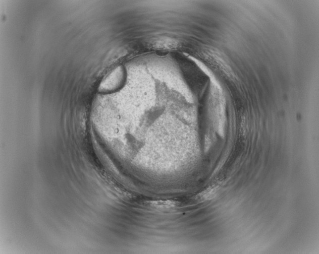 X0000088600363200706151807