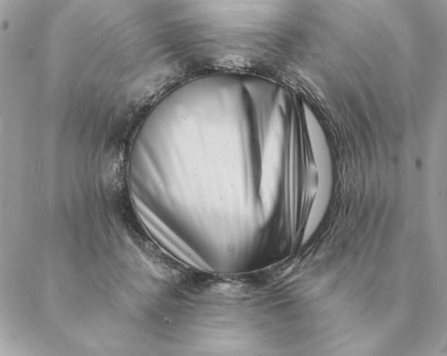 X0000088600364200706151807