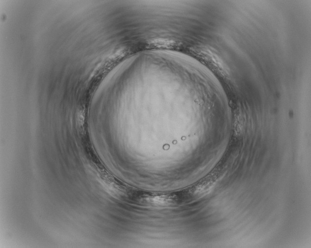 X0000088600365200706151807