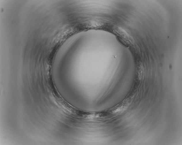 X0000088600366200706151807