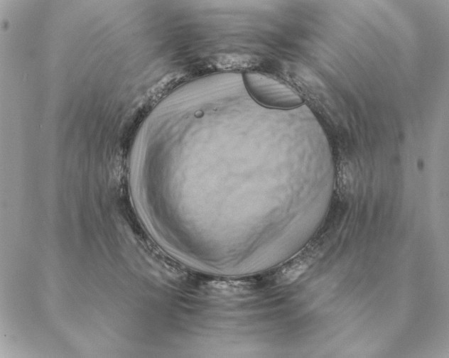 X0000088600367200706151807