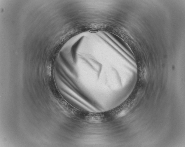 X0000088600368200706151807