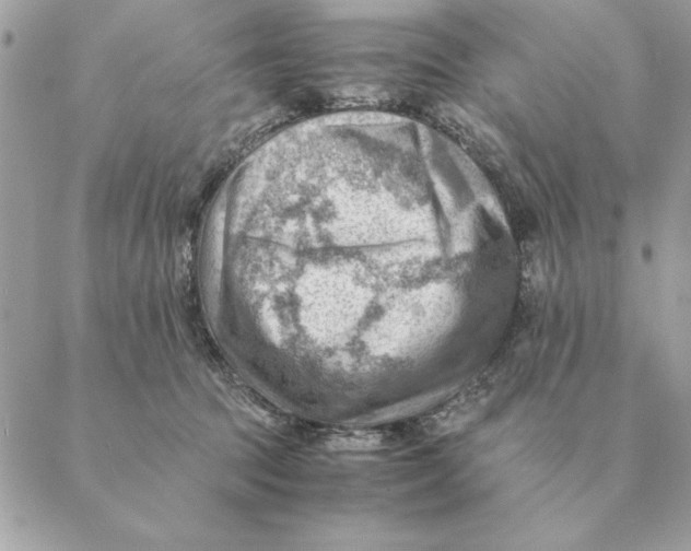 X0000088600369200706151807