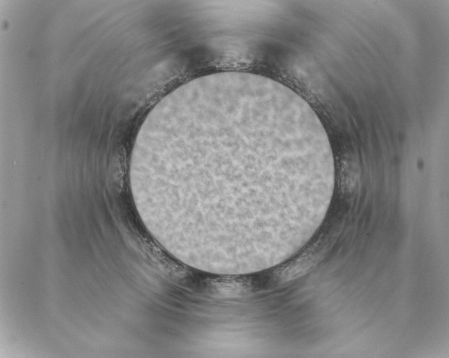 X0000088600370200706151807