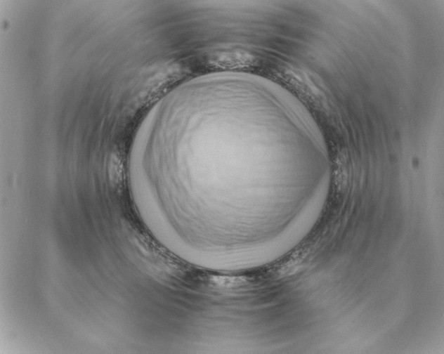 X0000088600371200706151807