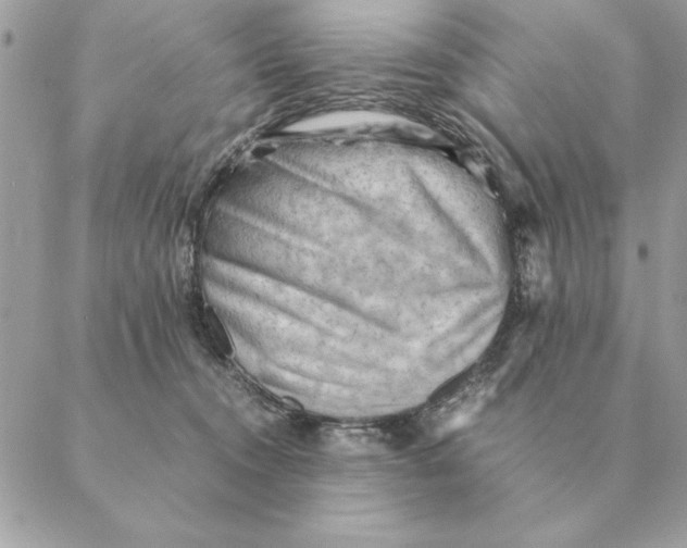 X0000088600372200706151807