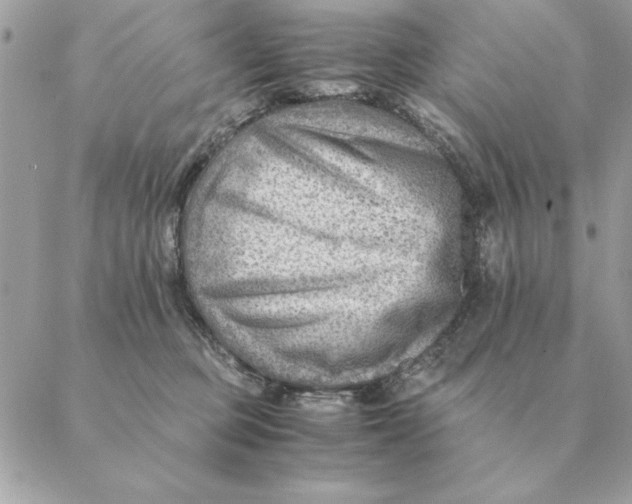 X0000088600373200706151807