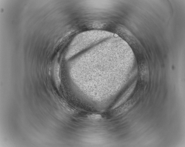 X0000088600374200706151807