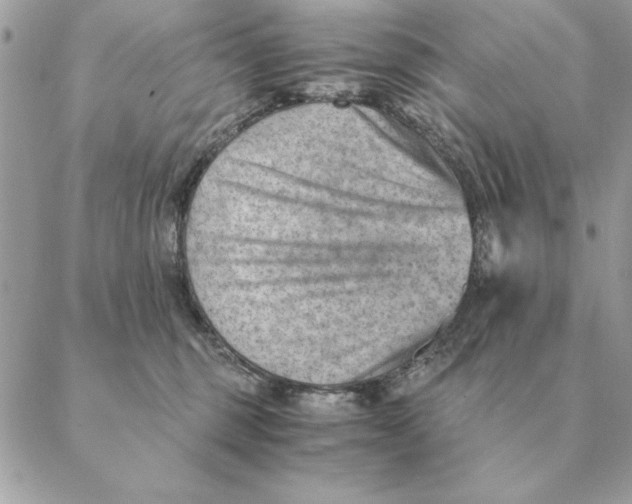 X0000088600375200706151807