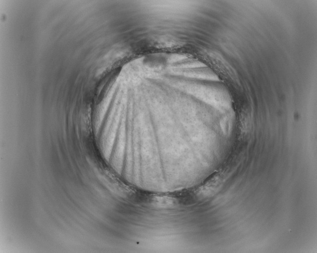 X0000088600376200706151807