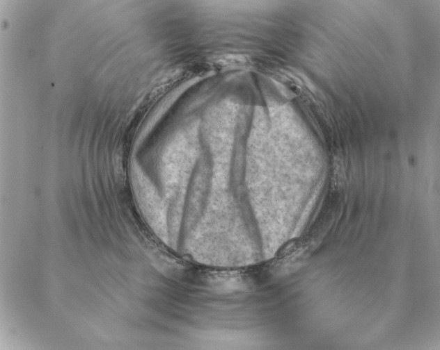 X0000088600377200706151807