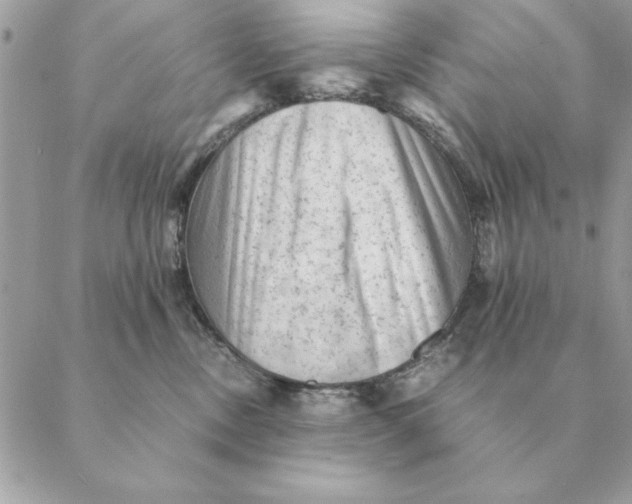 X0000088600378200706151807