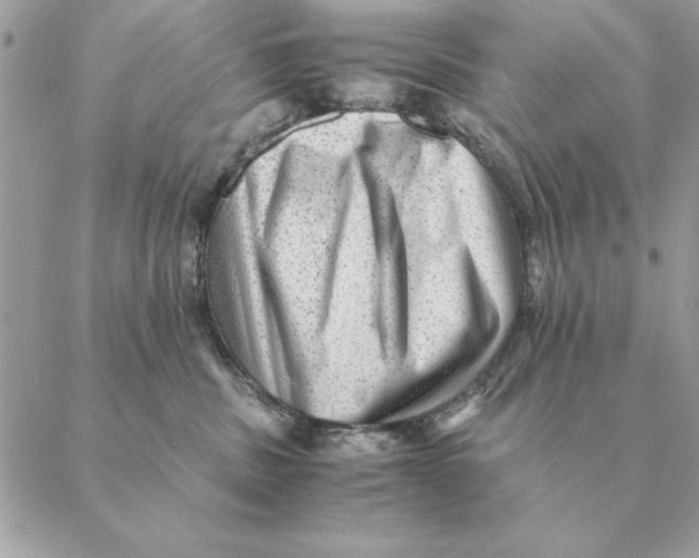 X0000088600379200706151807