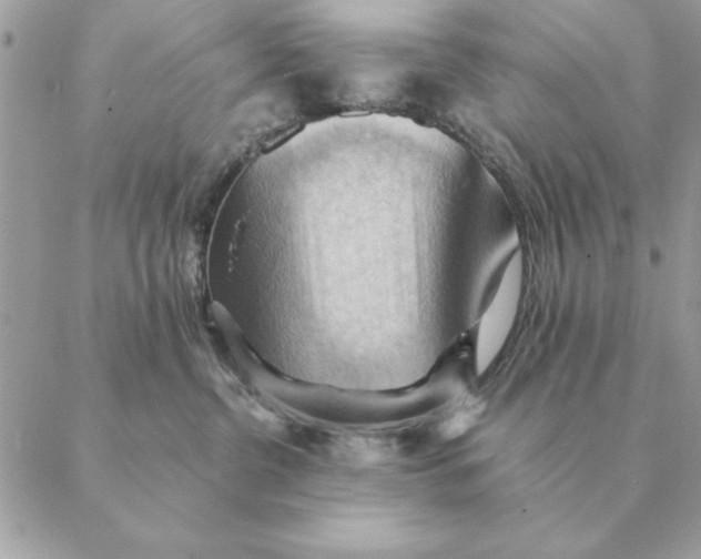 X0000088600380200706151807