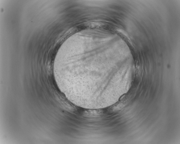 X0000088600381200706151807