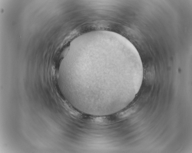 X0000088600382200706151807