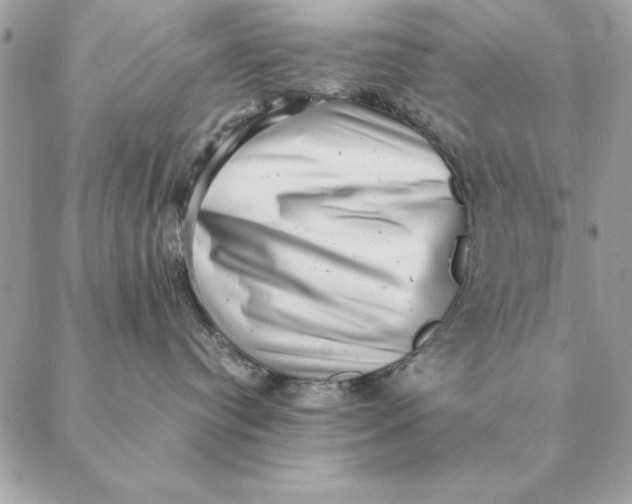 X0000088600384200706151807