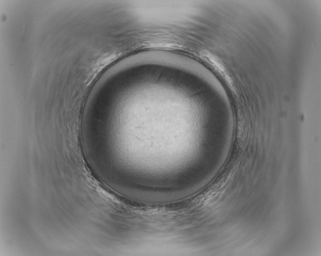 X0000088600385200706151807