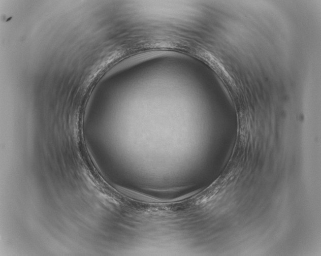 X0000088600386200706151807