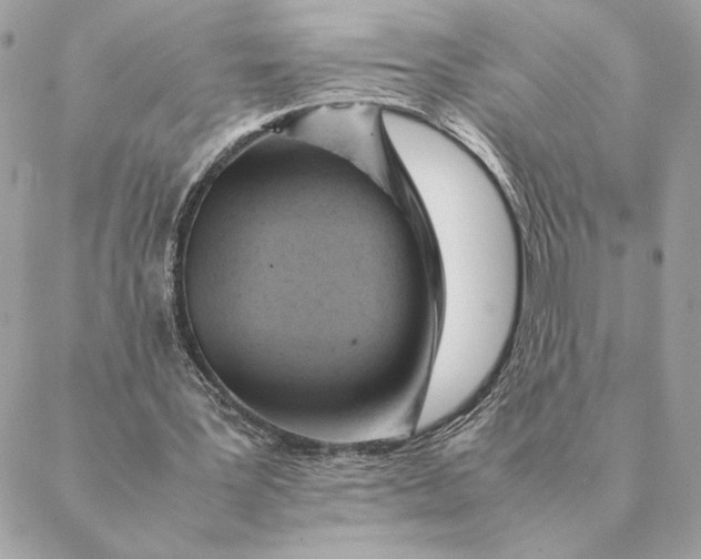 X0000088600387200706151807