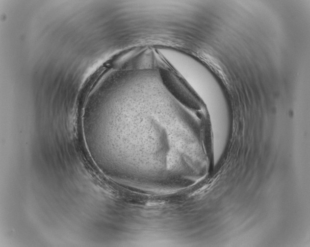 X0000088600388200706151807