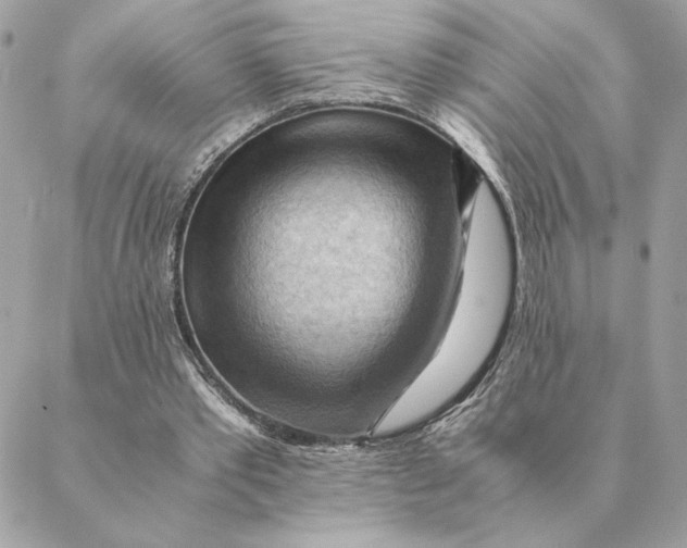 X0000088600389200706151807