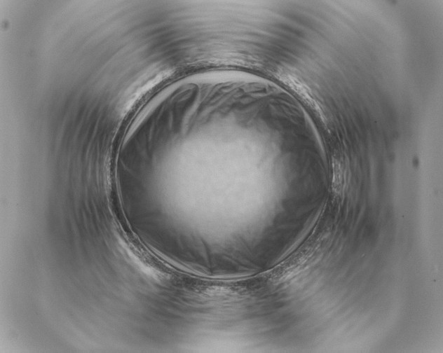 X0000088600390200706151806