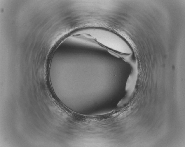 X0000088600391200706151806