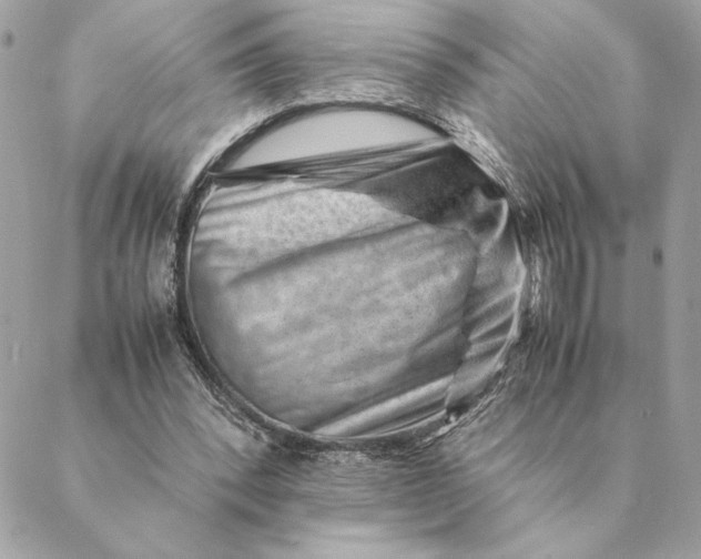 X0000088600392200706151806