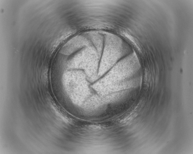 X0000088600394200706151806