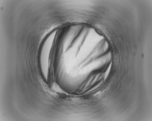 X0000088600395200706151806