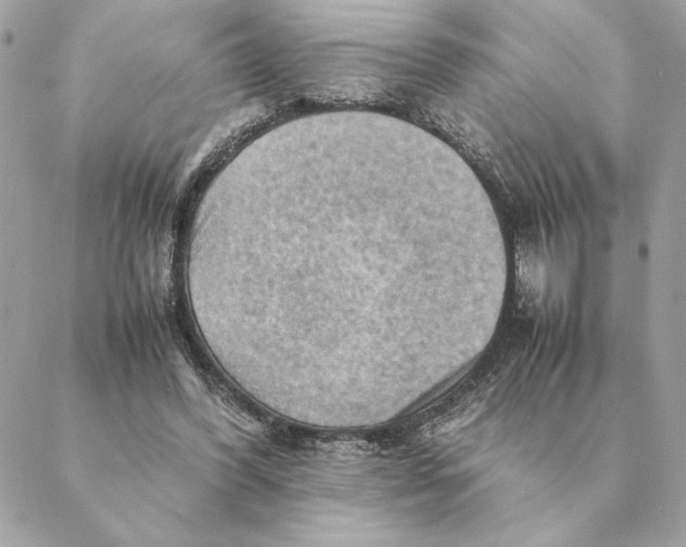 X0000088600396200706151806