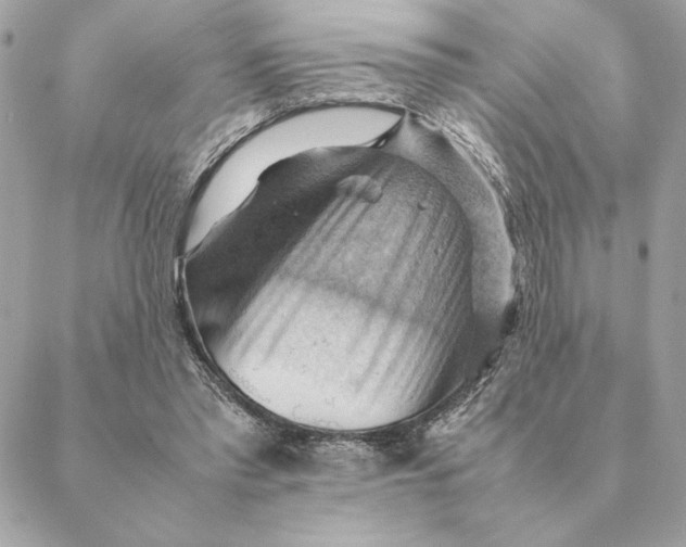 X0000088600397200706151806